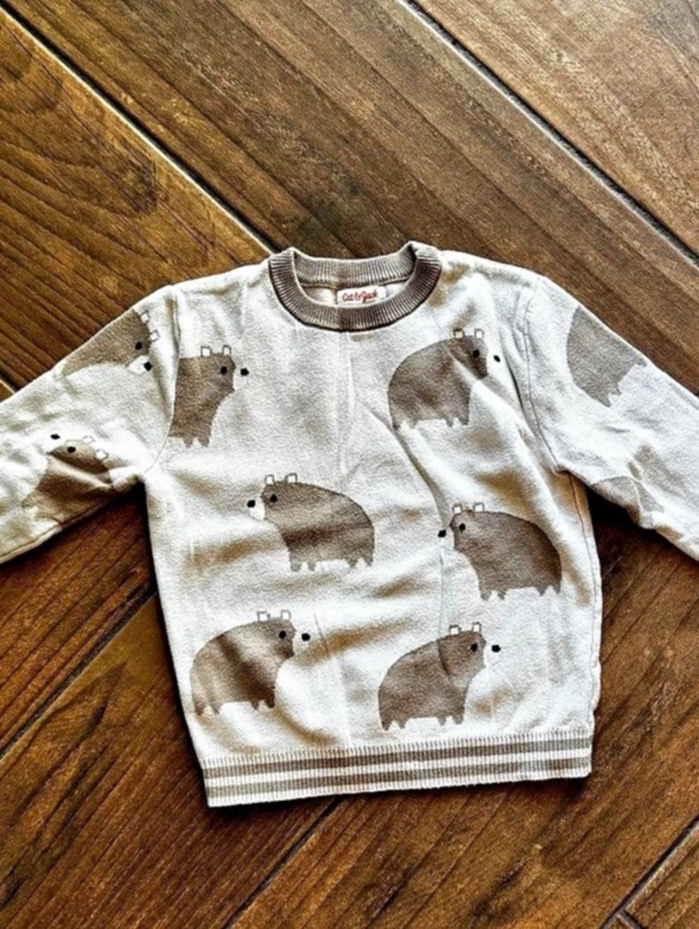 Cat & Jack Toddler Brown Bear Printed Sweater, 4T
